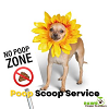 PAWS Pooper Scoopers Pet Waste Removal  Dallas