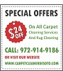 DeSoto Carpet Cleaner