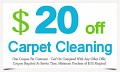 Dallas TX Carpet Cleaning Service